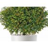 Boxwood Topiary h 135 cm Ø 60 cm Green V5564002 detail