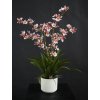 Orchid Dancing Fiber Pot 70 cm Pink 5681PNK