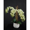 Orchid Phalaenopsis Mini Fiber Pot 50 cm Lime 5685LIM