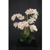 Orchid Phalaenopsis Foam Base 70 cm Leopard 5684LEO