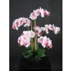 Orchid Phalaenopsis Foam Base 70 cm Pink 5684PNK