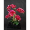 Orchid Phalaenopsis Foam Base 70 cm Purple 5684PUR