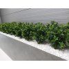Umělá rostlina Buxus bush (60cm) - UV  boxwood