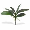 404603 Phalaenopsis blad x6 boeket 25 3400