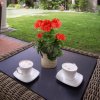 Geranium boeket 38 uv rood 444103UVRD 6