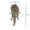 205310 Tradescantia 100 groen rood size