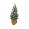 EVERGREENS 80 422347