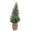 EVERGREENS 80 422354