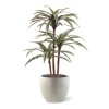 draceana deluxe kunstplant groen bont 95cm pot5