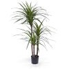 Umělá rostlina Dracena Deluxe (100cm)