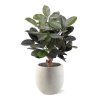 AnyConv.com elastica robusta kunstplant 95cm groen pot4 1