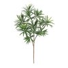 AnyConv.com 502306uv podocarpus tak pl 55 uv 3