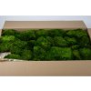 preserved provence moss green bulk box 26