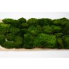 preserved provence moss green bulk box 26d
