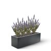 AnyConv.com 407803UVBL Lavendel 35 blauw 5 1