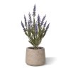 AnyConv.com Lavender kunstplant 30cm UV blauw 1