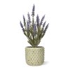 AnyConv.com Lavender kunstplant 30cm UV blauw 2 High Quality