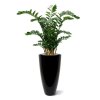 AnyConv.com zamioculcas xl 120 cm kunstplant 151412 3 3