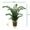 AnyConv.com zamioculcas xl 120 cm kunstplant 151412 7 3