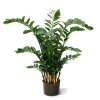 AnyConv.com zamioculcas xl 120 cm kunstplant 151412 1 2