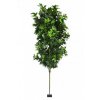 AnyConv.com gpianta alloro 170 cm bassa