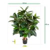AnyConv.com elastica robusta kunstplant 90 cm groen 153709 8 3