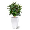 AnyConv.com elastica robusta kunstplant 90 cm groen 153709 4 3