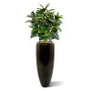 AnyConv.com elastica robusta kunstplant 90 cm groen 153709 2 2