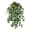 205207fr hedera groen deluxe 75 3