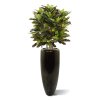 AnyConv.com croton deluxe xl 90 cm kunstplant 150208 2 3