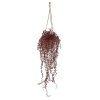 AnyConv.com 203807UVBU Callisia hanger 70cm burgundy UV in pot Igmar camel