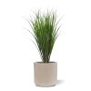 AnyConv.com 411208UVGR Rietgras Kunstplant buiten 85cm Baq 6RDPBE233 1