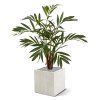 AnyConv.com chamaedorea kunstpalm 85 cm in pot 184408 5 3