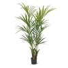 AnyConv.com kentia kunstpalm deluxe 165 cm 175015 1 4