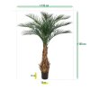 AnyConv.com phoenix kunstpalm deluxe 180 cm 173417 7 4