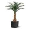 AnyConv.com phoenix kunstpalm deluxe 180 cm 173417 5 4