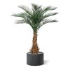 AnyConv.com phoenix kunstpalm deluxe 180 cm 173417 3 4