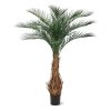 AnyConv.com phoenix kunstpalm deluxe 180 cm 173417 1 4
