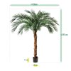 AnyConv.com Phoenix Kunstpalm OD Deluxe 225 cm 173421 6 2
