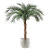 AnyConv.com Phoenix Kunstpalm OD Deluxe 225 cm 173421 4 2