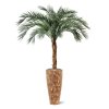 AnyConv.com Phoenix Kunstpalm OD Deluxe 225 cm 173421 2 3