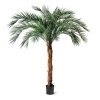 AnyConv.com Phoenix Kunstpalm OD Deluxe 225 cm 173421 1 3