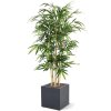 AnyConv.com 120015 Bamboe 150cm in Grigio Cube F886 1