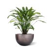 AnyConv.com 152208 Calathea artificial plant green 85cm in Baq Metallic Silver leaf Bowl matt coffee 45x27cm
