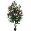 AnyConv.com oleander 150cm rose pp 5
