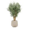 AnyConv.com 135510 Olijf kunstplant 100cm Baq Raindrop Darcy Beige 30x26cm 2