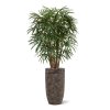 AnyConv.com Raphis Kunstpalm XL Deluxe 130cm Baq 6LXLALC53 2