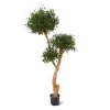 AnyConv.com olijf bonsai deluxe x3 160 cm 135416 1 4