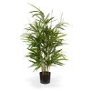 AnyConv.com 121007 royal bamboe 70 groen pp 1 4