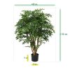AnyConv.com ruscus deluxe n 110 cm 184511 8 1 3